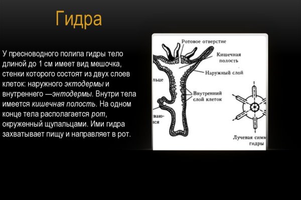 Можно ли зайти на кракен через обычный браузер