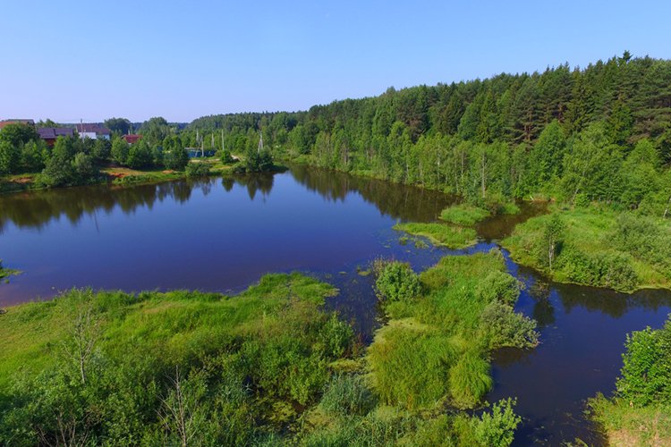 Маркет плейс кракен маркетплейс